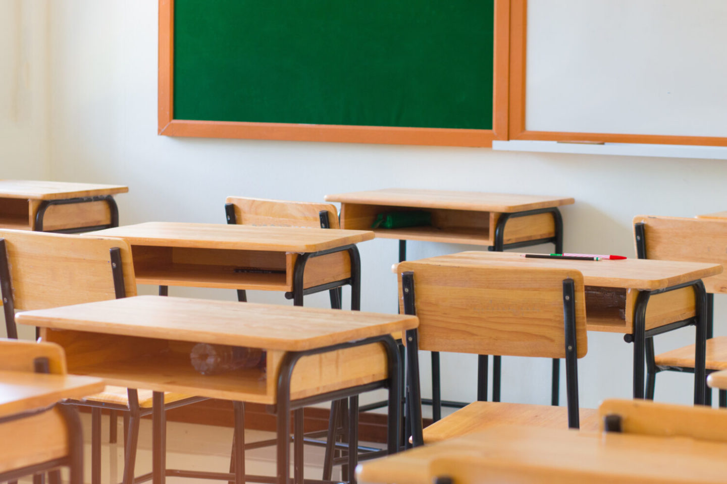 Public education ‘betrays its purpose,’ says former public school teacher