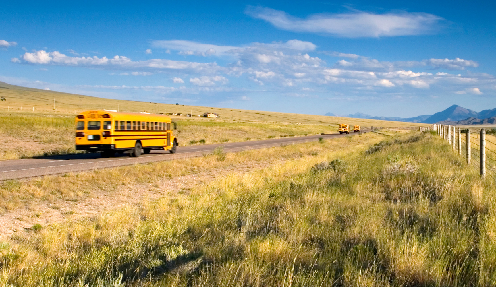 Montana generated $8M for public education from timber sales in fiscal ...